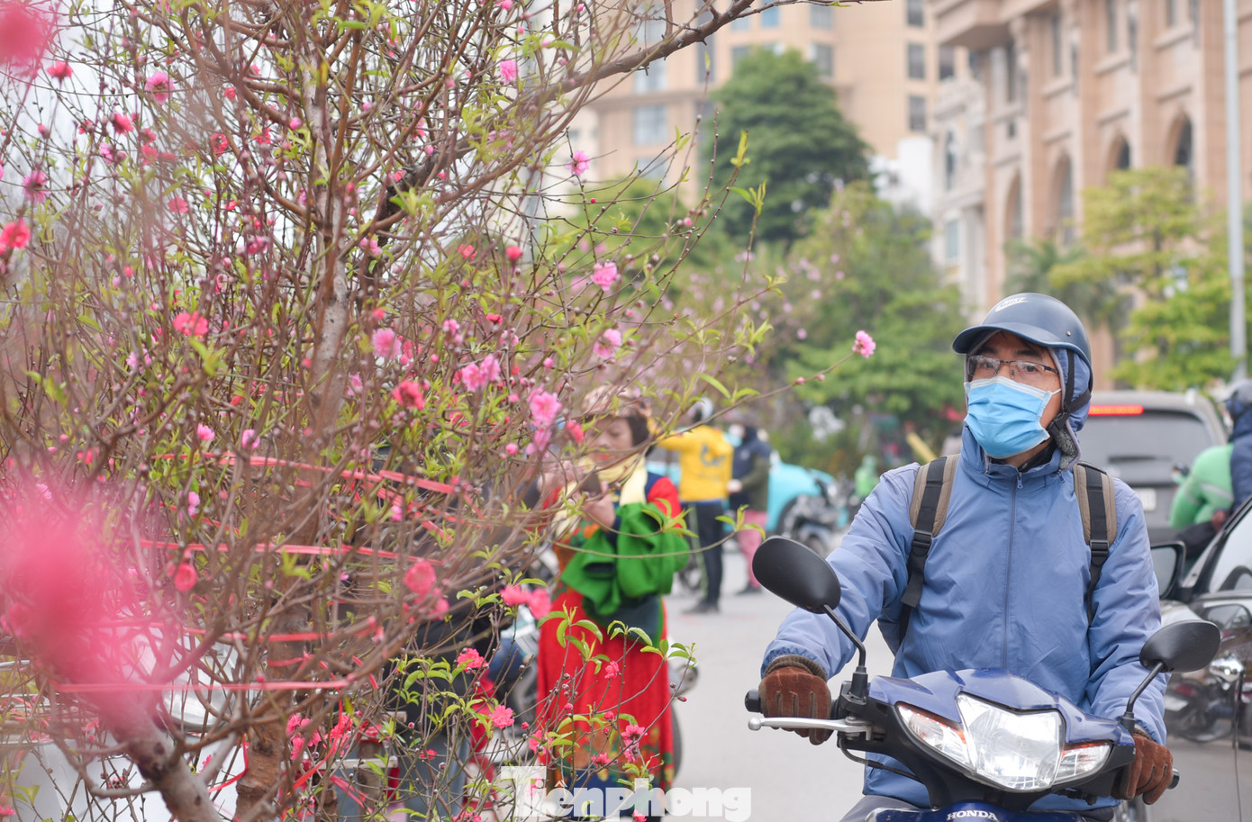 Đào nở rộ khiến ai cũng có thể cảm nhận được Tết đã đến rất gần.