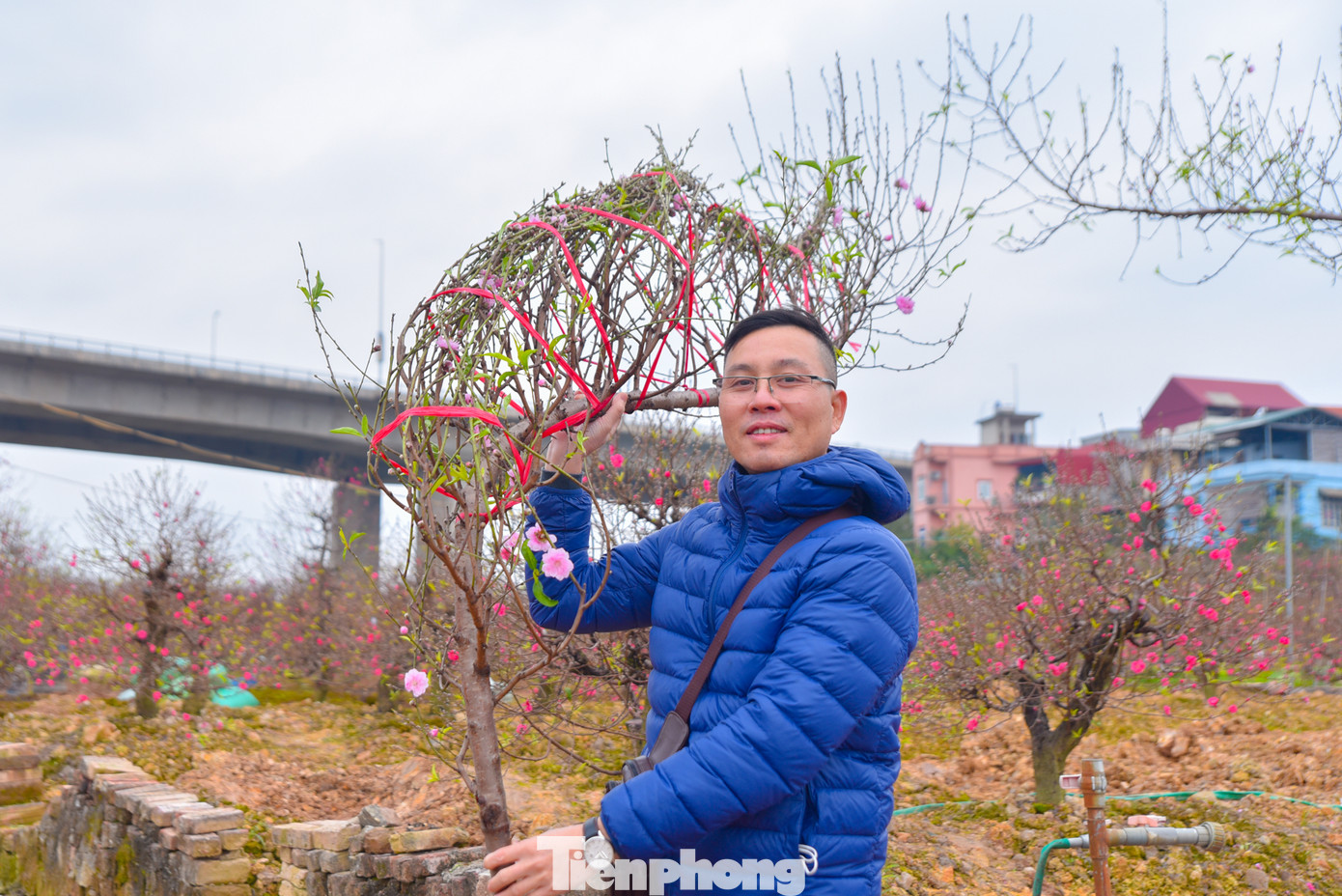 Theo người dân, giá đào hiện tại có cao hơn so với năm ngoái nhưng bù lại thì "hầu hết các nhà vườn đều uốn cành, hoa nở đều và có nhiều nụ", một vị khách tên Nam chia sẻ.