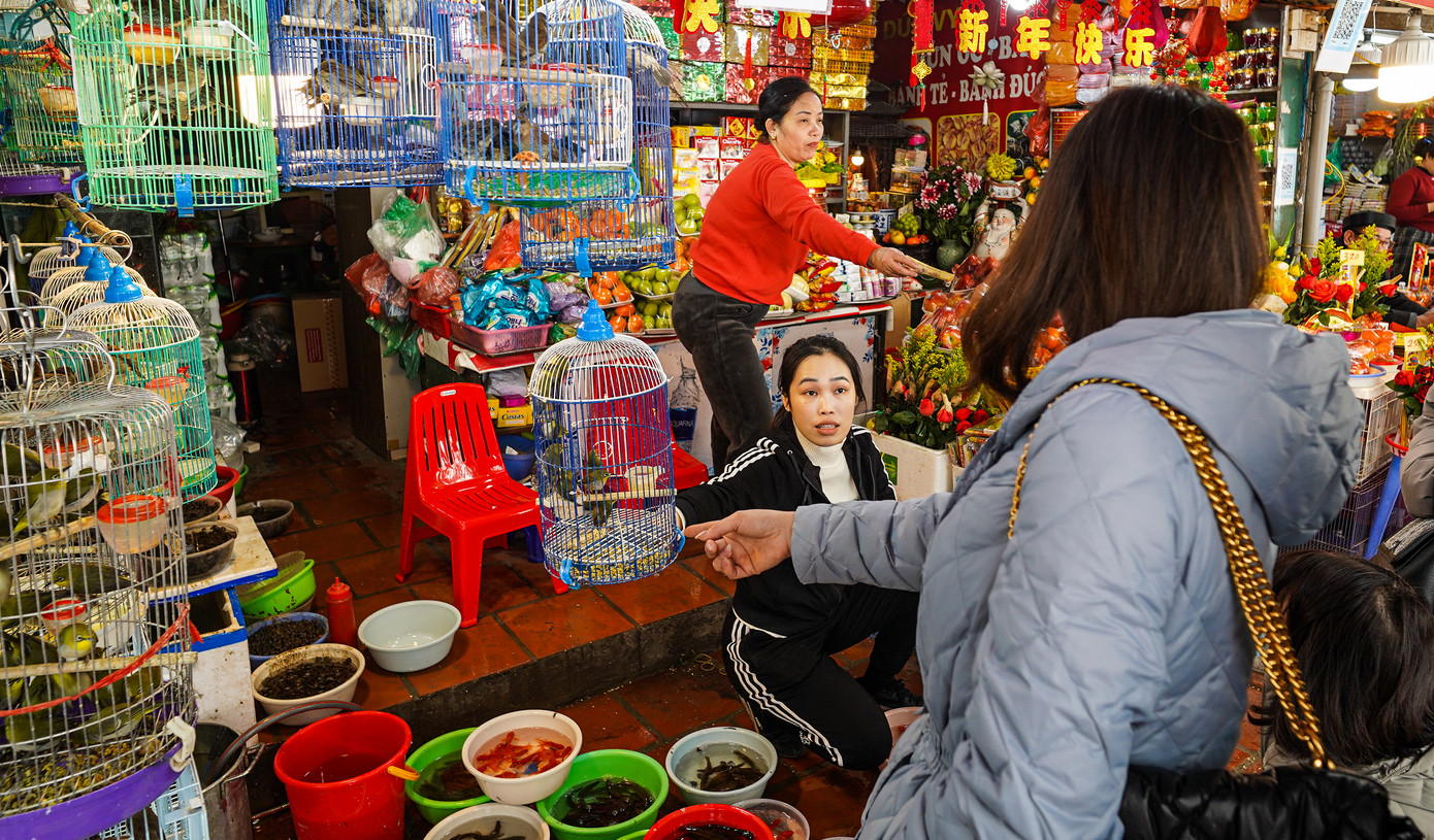 Cảnh mua bán tấp đồ phóng sinh cũng diễn ra trên đường vào Phủ Tây Hồ.