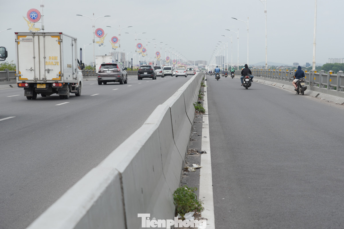 Rác thải tích tụ lâu ngày đủ thời gian để cỏ dại mọc hàng dài trên cầu Vĩnh Tuy.