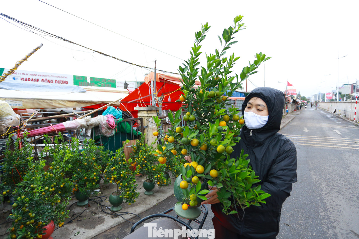 Nhiều người tranh thủ ra phố mua cho mình chậu quất sớm.