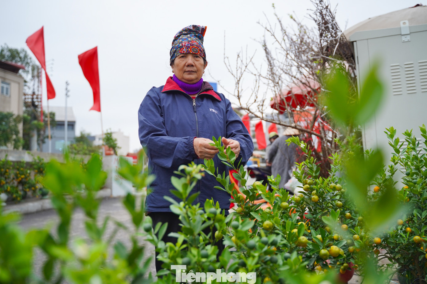 Cô Trần Thanh Hồng (Văn Giang, Hưng Yên) cho biết, quất được cô nhập từ vườn cây Văn Giang mang lên Hà Nội. "Thị trường năm nay mới bắt đầu, giá quất cảnh có tăng nhẹ so với năm ngoái vì đợt bão vừa rồi cây chết nhiều. Tuy nhiên cũng không đáng kể".