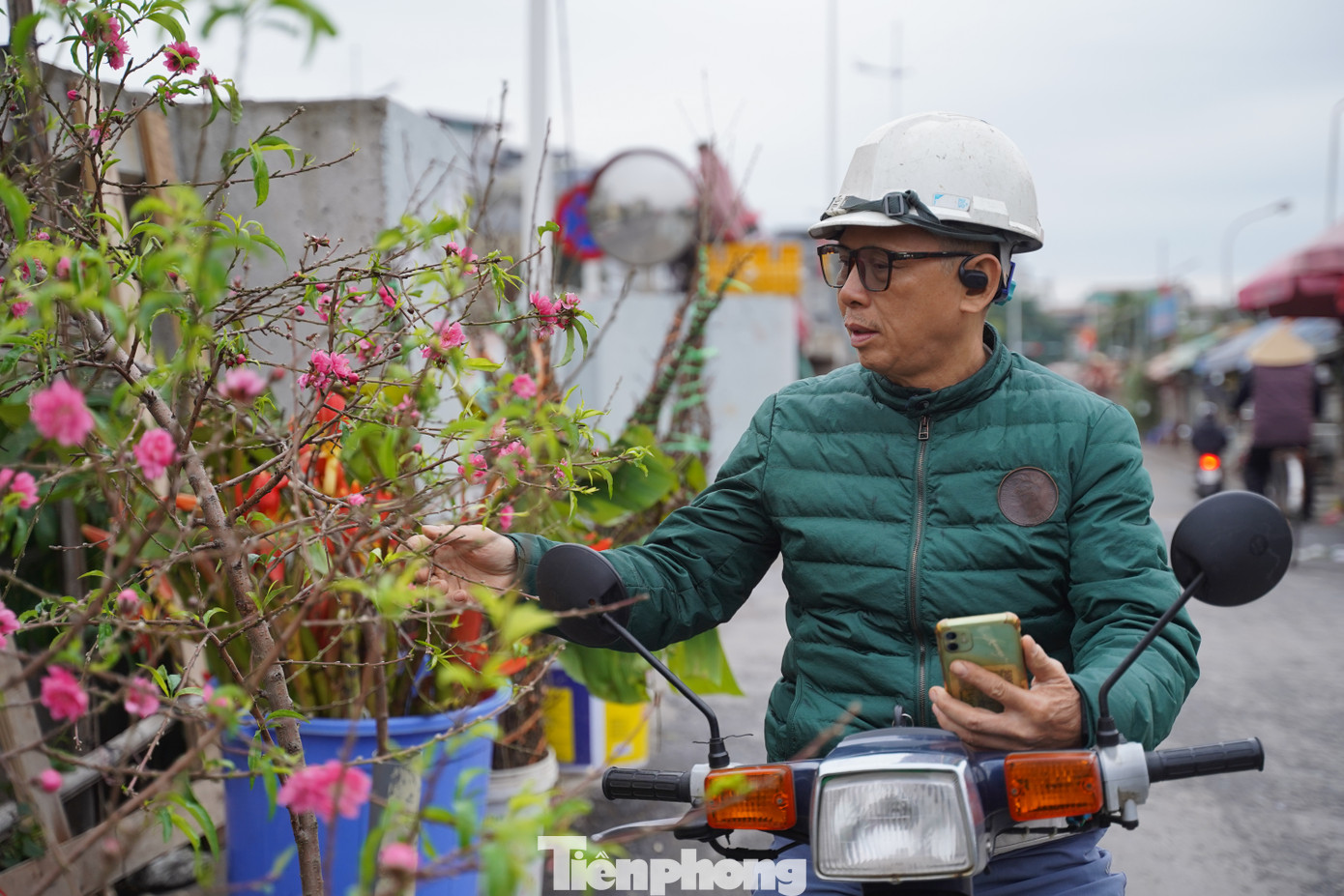 Cành to, nhiều nụ, nhiều hoa có giá từ khoảng 600.000 đến cả triệu đồng.