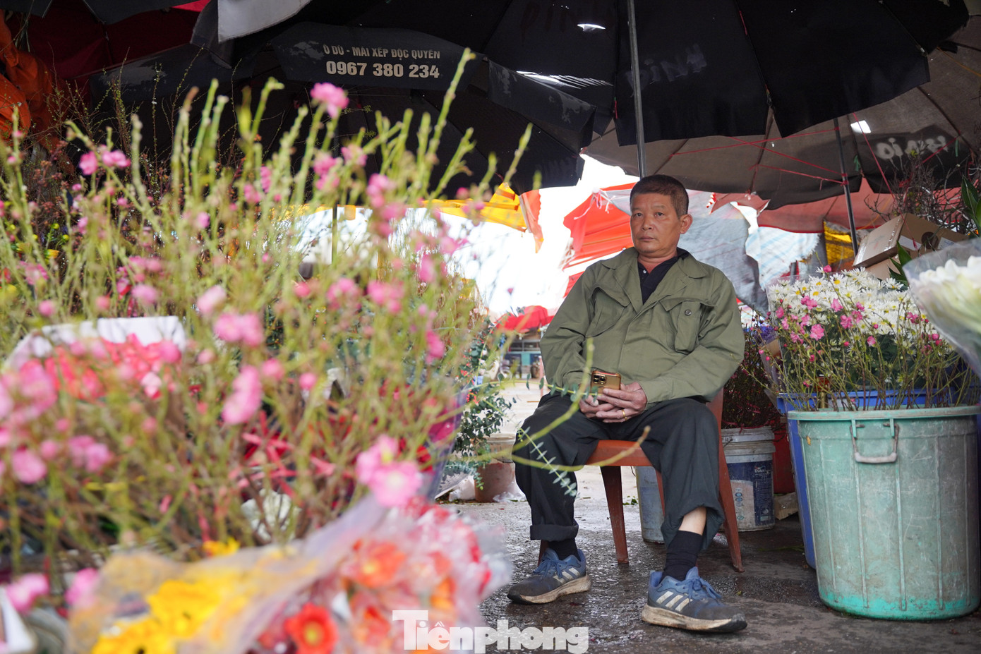 Theo ghi nhận, cành nhỏ đến tầm trung, nhiều nụ có giá từ 120.000 - 200.000 đồng.