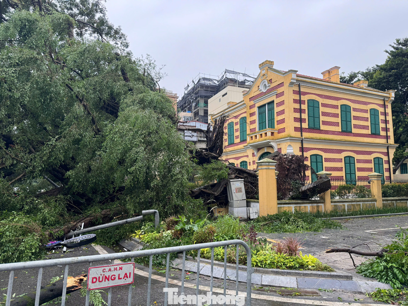Biệt thự Pháp cổ ở vị trí 49 Trần Hưng Đạo (quận Hoàn Kiếm, Hà Nội) cũng bị cây xanh đổ vào.