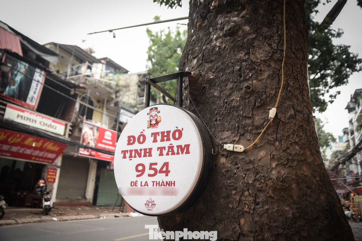 Biển hiệu quảng cáo được đóng đinh cố định trên cây trước cửa hàng trên đường Đê La Thành.
