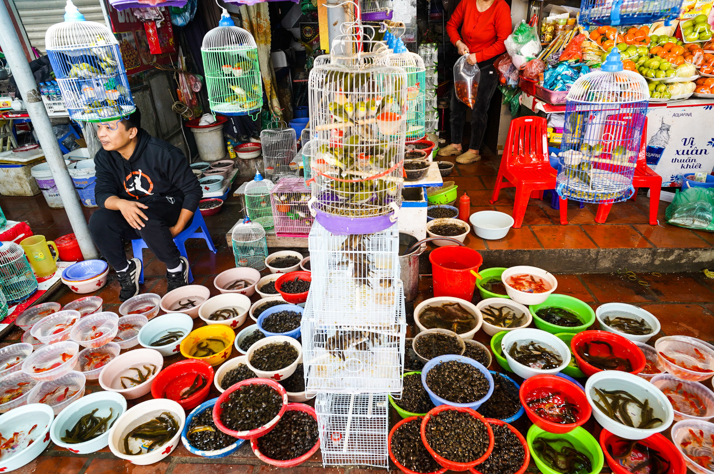 Cảnh mua bán tấp đồ phóng sinh cũng diễn ra trên đường vào Phủ Tây Hồ.