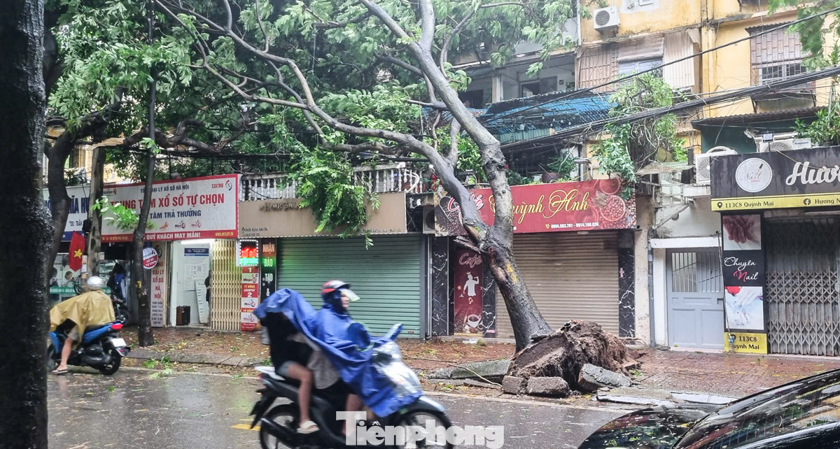 Ghi nhận rất nhiều cây cối trong thành phố bị quật đổ gây ảnh hưởng giao thông và nguy hiểm cho người đi đường. Tại khu vực đường Quỳnh Mai (quận Hai Bà Trưng) ghi nhận cảnh tượng cây xanh bật gốc tiềm ẩn nhiều nguy hiểm.