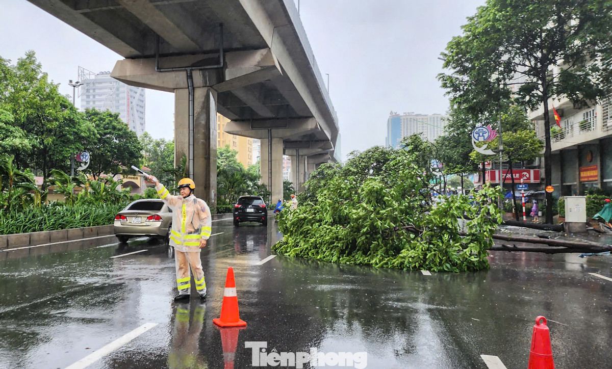 2 cây đổ tại số 10 Trần Phú (Hà Đông) chiếm hết 1/2 đường.