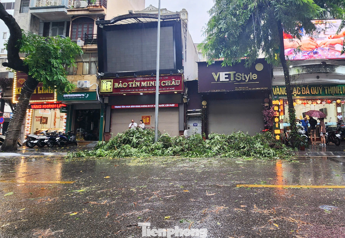 Trên phố Trần Nhân Tông, một số cây đổ từ hôm qua vẫn chưa được dọn dẹp, gây cản trở giao thông và ảnh hưởng đến việc đi lại của người dân.