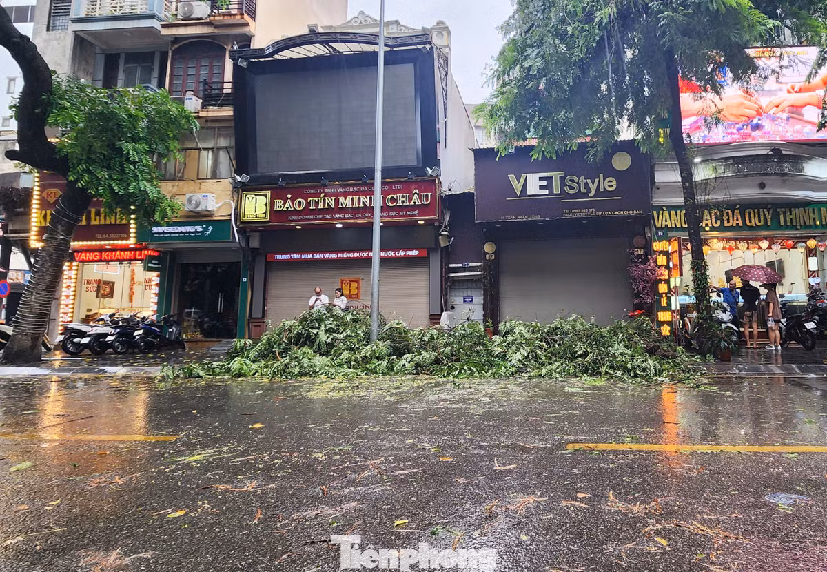 Trên phố Trần Nhân Tông, một số cây đổ từ hôm qua vẫn chưa được dọn dẹp, gây cản trở giao thông và ảnh hưởng đến việc đi lại của người dân.