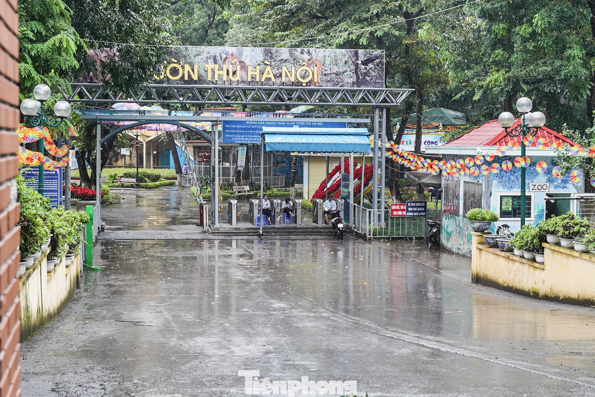 Vườn thú Hà Nội tạm đóng cửa không tiếp khách do ảnh hưởng của bão YAGI.