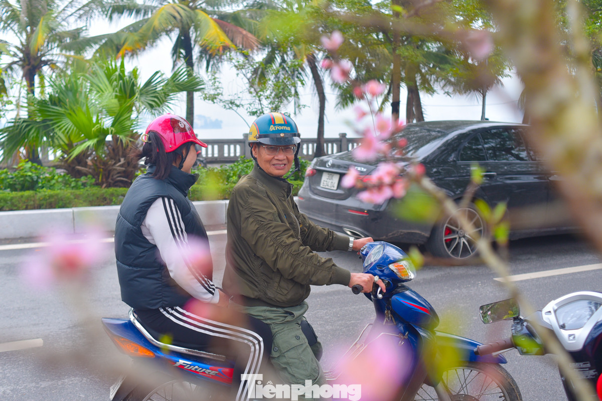 Sắc hồng của hoa đào xen lẫn không khí se lạnh là điểm đặc trưng của Hà Nội mỗi độ Xuân về. Sắc hồng của hoa đào xen lẫn không khí se lạnh là điểm đặc trưng của Hà Nội mỗi độ Xuân về.