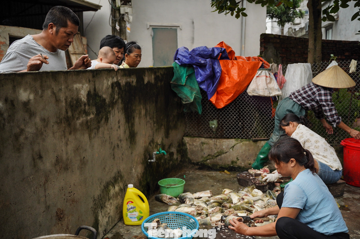 Nước lũ dâng cao, ốc nổi lềnh bềnh, cá mắc trong máy bơm, người xóm Bến Vôi tranh thủ thu hoạch để cải thiện bữa ăn