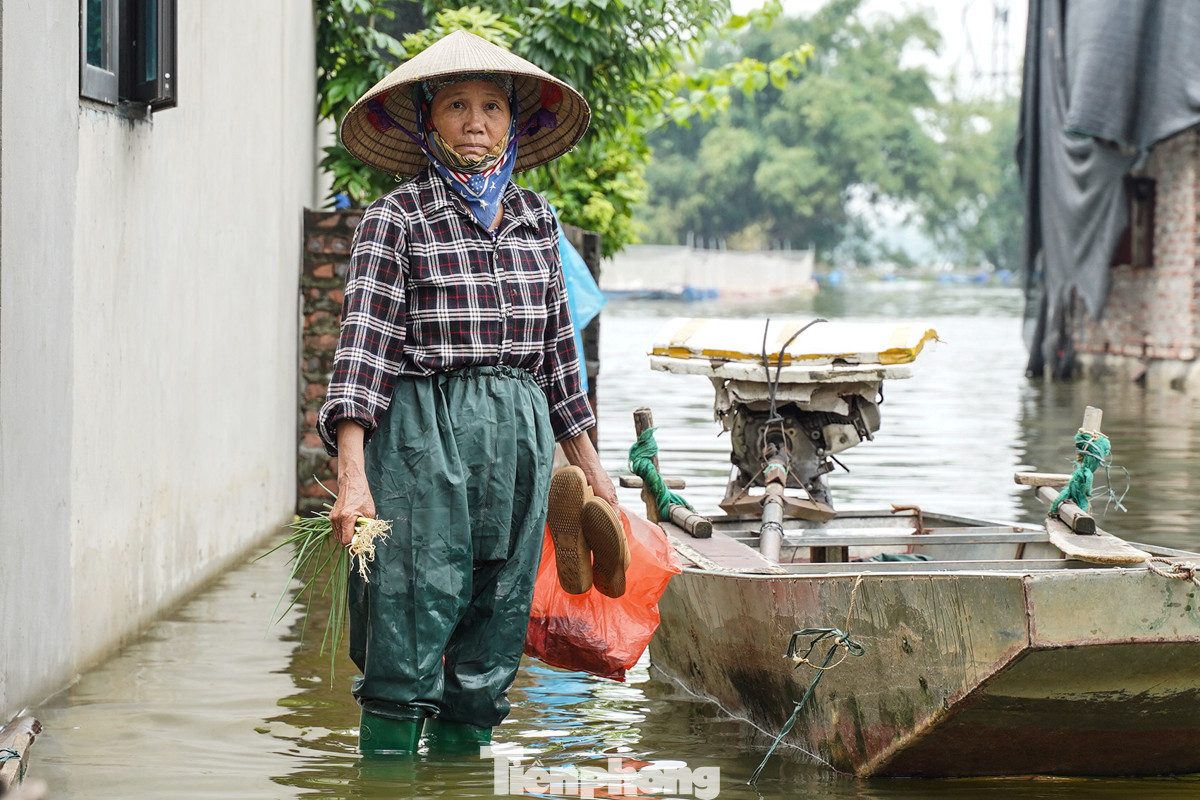 Nhà cửa ngập trong nước lũ, người phụ nữ đành lội nước sang nhà hàng xóm xin ít hành về nấu mì cho qua bữa.
