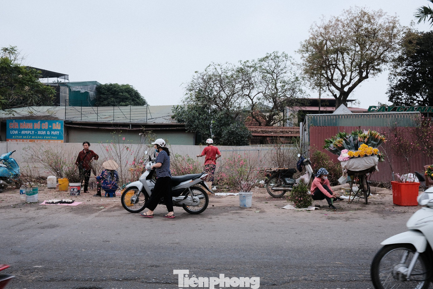 Tuy rằng đã quá mùng 10 Tết, nhưng chợ hoa Quảng An, Tây Hồ vẫn đầy rẫy những hàng đào với mong muốn xả lỗ sau một năm thị trường đào quất ế ẩm.