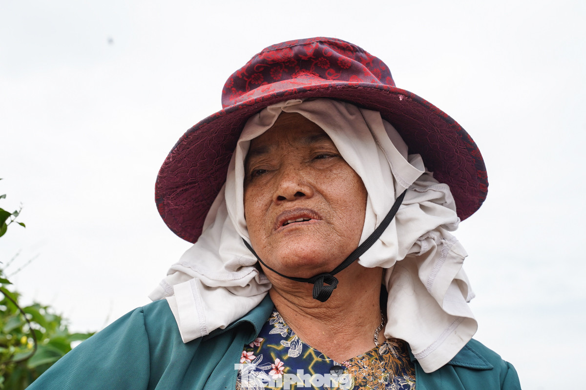 Cô Lý Thị Cảnh, một người dân tại làng hoa Phụng Công chia sẻ: "Tối qua 8, 9 giờ đêm nước vào đến tờ mờ sáng nay dâng cao đến cả nóc nhà vườn, chảy rất xiết. Cả gia đình làm nông mà giờ hoa, cây bị chìm hết, còn lợn 650 con mà mới cứu được hơn 300 con, lo lắng lắm, giờ phải bán rẻ vì không còn trang trại, nơi chứa".