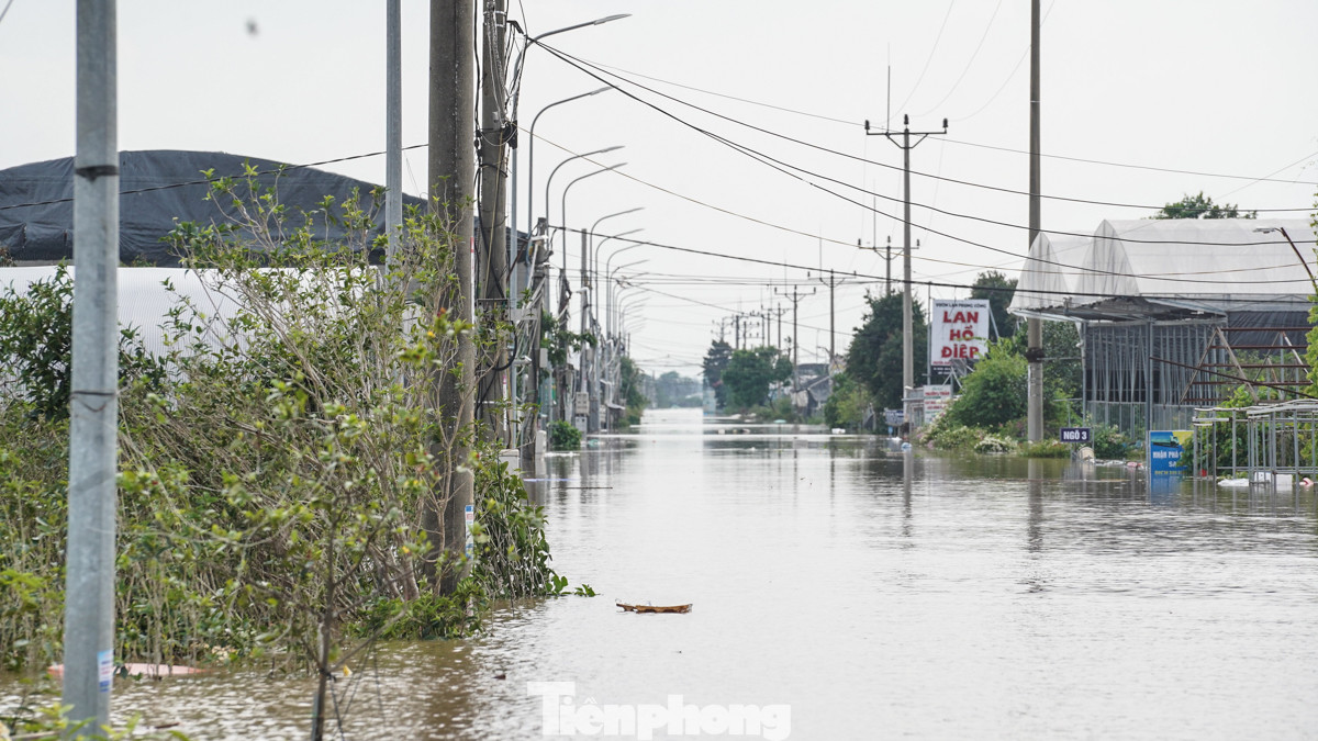 Nhìn từ mặt đê, nước ngập rất cao trên đường liên thôn tại xã Phụng Công.