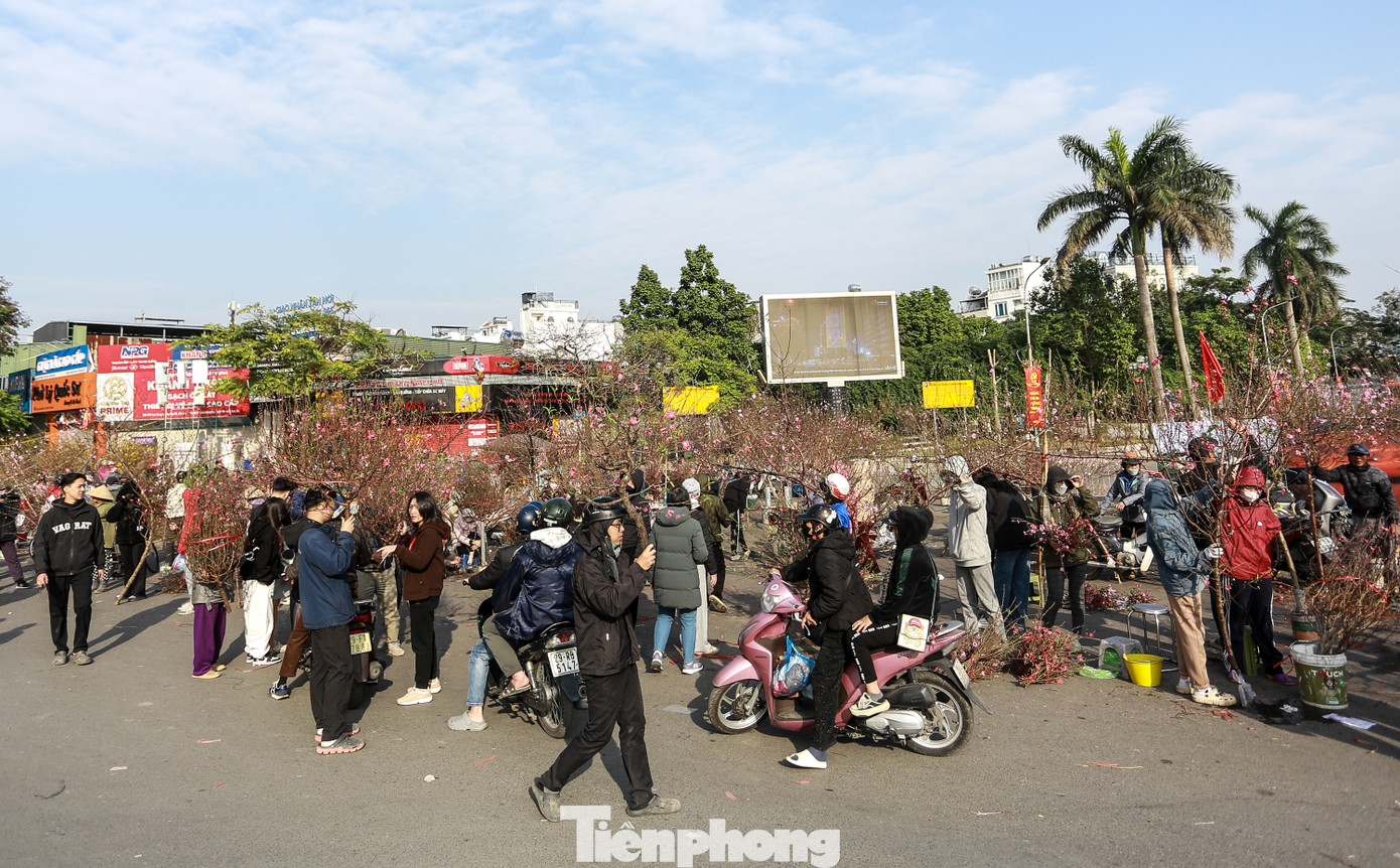 Ngày 28/1 (29 Tết), trên nhiều tuyến phố Hà Nội, các tiểu thương giảm giá mạnh các mặt hàng đào, quất Tết với mong muốn "đẩy" hàng để nhanh chóng dọn dẹp về ăn Tết.