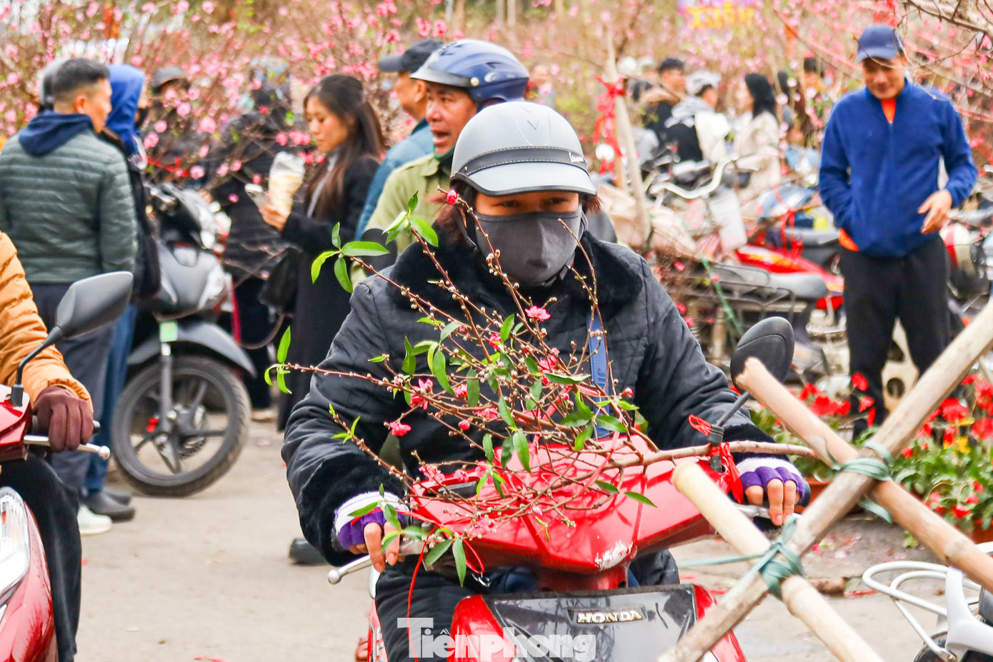 Nhiều người phấn khởi mua được cành đào giá rẻ.