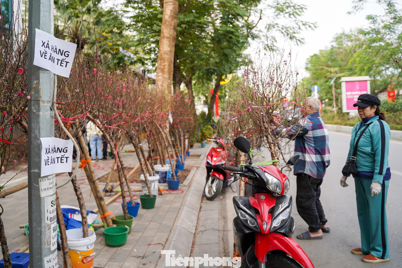 Nhiều người phấn khởi mua được cành đào giá rẻ.