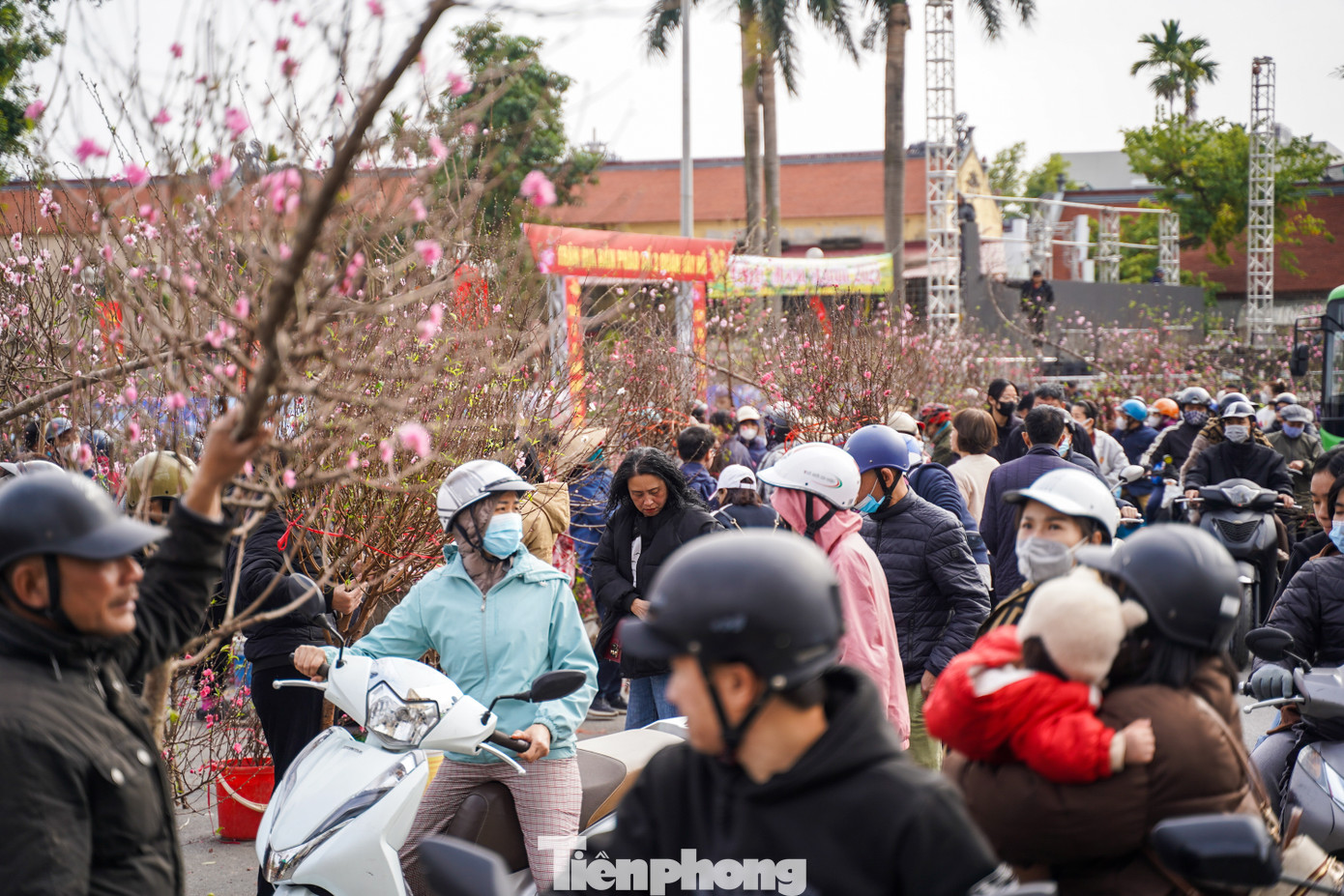 Ghi nhận PV, từ khoảng 14h hôm nay, rất đông người dân đã đổ về chợ hoa trên đường Lạc Long Quân (quận Tây Hồ) để săn tìm đào, quất với giá giảm.