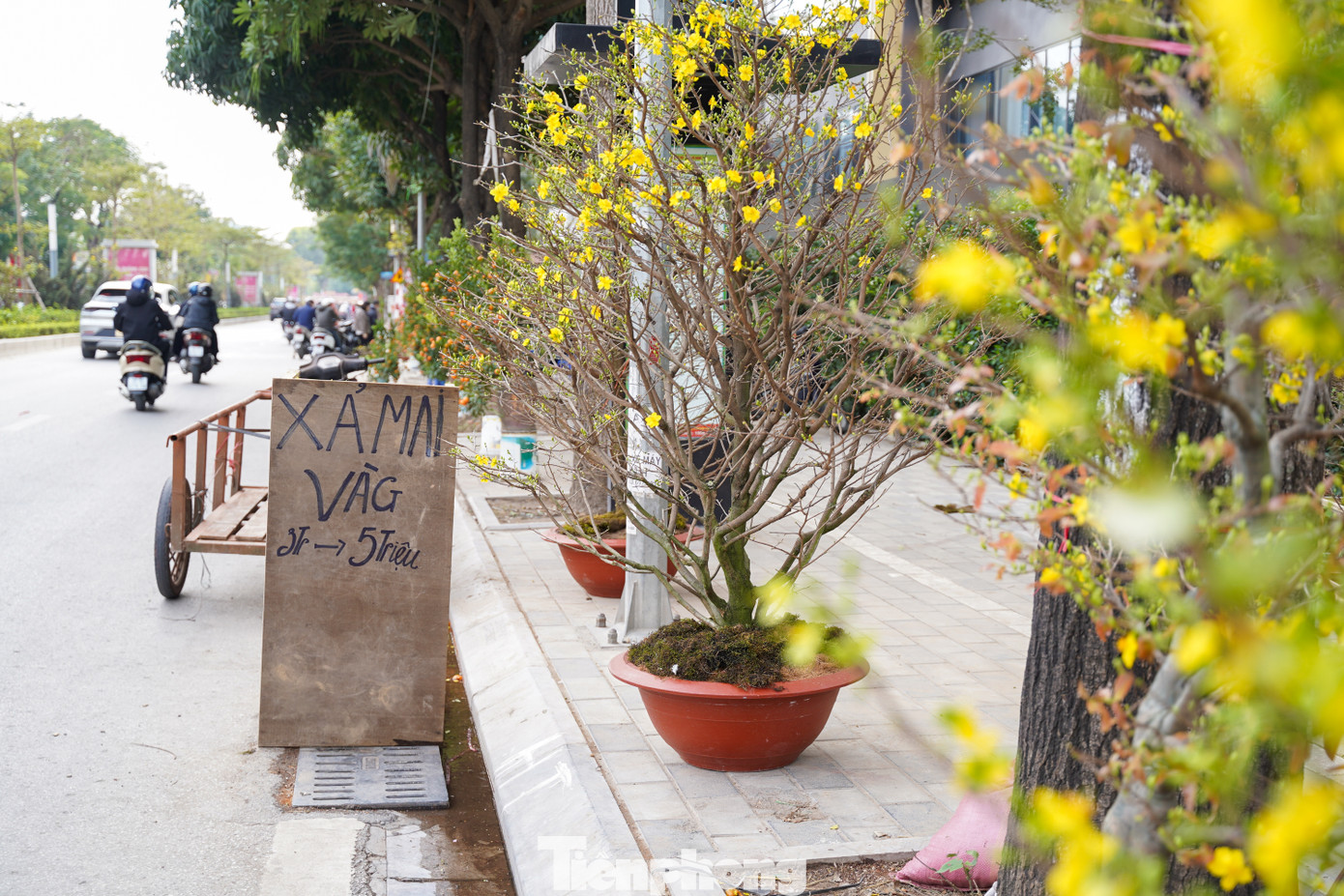 Dù nhiều nơi tấp nập người mua kẻ bán, nhưng tại một số hàng bán hoa vẫn ế ẩm dù giá đã giảm sâu.