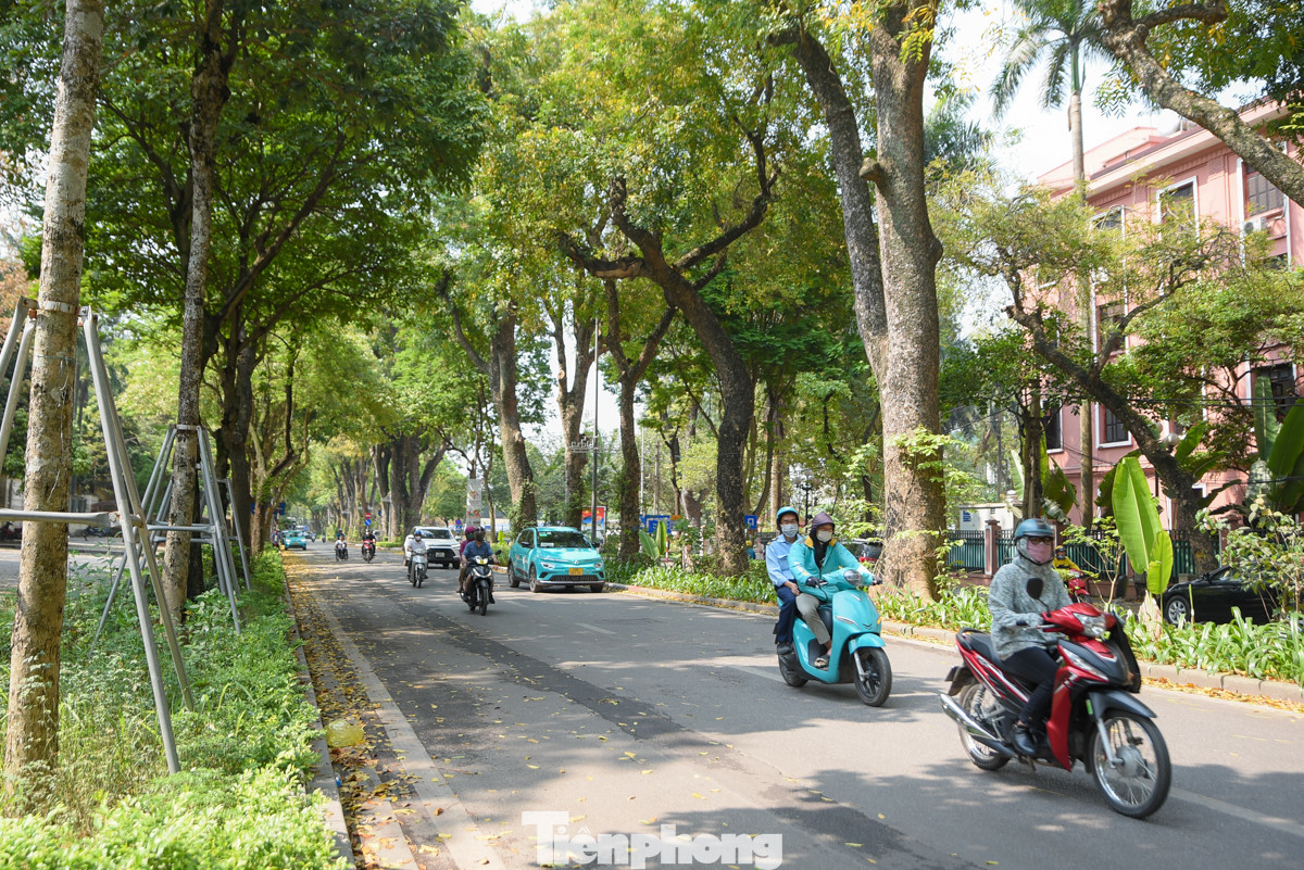 Cách đó không xa, phố Hoàng Diệu cũng mang đến cảm giác mát mẻ khi dọc tuyến đường được phủ kín bóng mát bởi hàng cây xà cừ cổ thụ.
