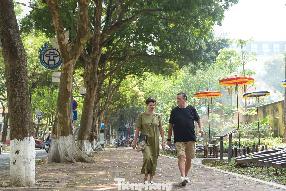 Phố Phan Đình Phùng xanh mướt lúc 12 giờ trưa, thời điểm nắng nóng trên 39 độ C.