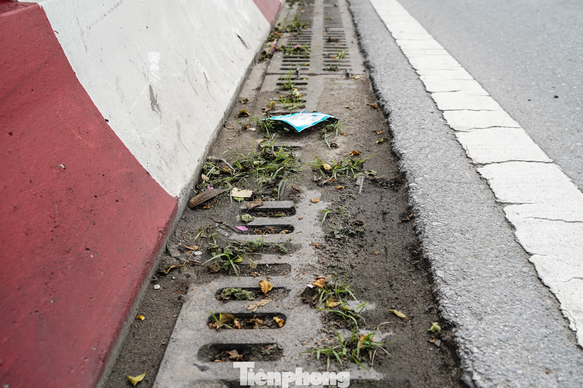 Đất cát tích tụ quá lâu khiến cho cỏ dại mọc hàng dài trên đường, đây là một trong những nguyên nhân khiến lòng đường ngập úng khi mưa lớn.