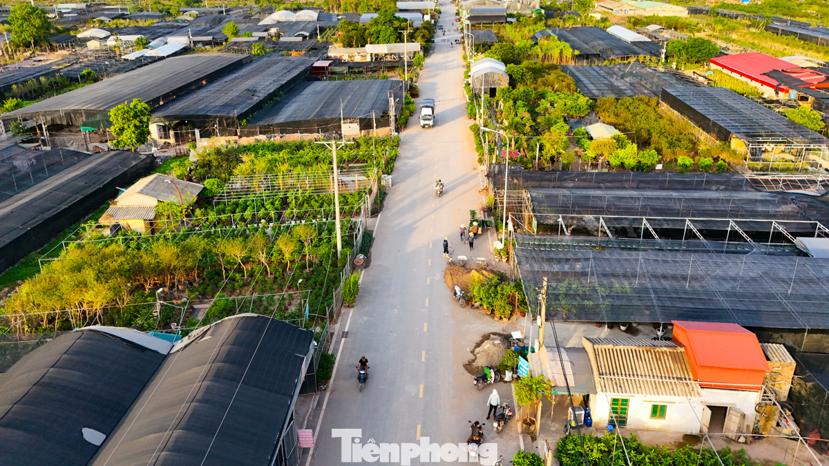 Nhìn từ trên cao, màu xanh đã dần trở lại với các vườn tại làng hoa Phụng Công. Nhìn từ trên cao, màu xanh đã dần trở lại với các vườn tại làng hoa Phụng Công.