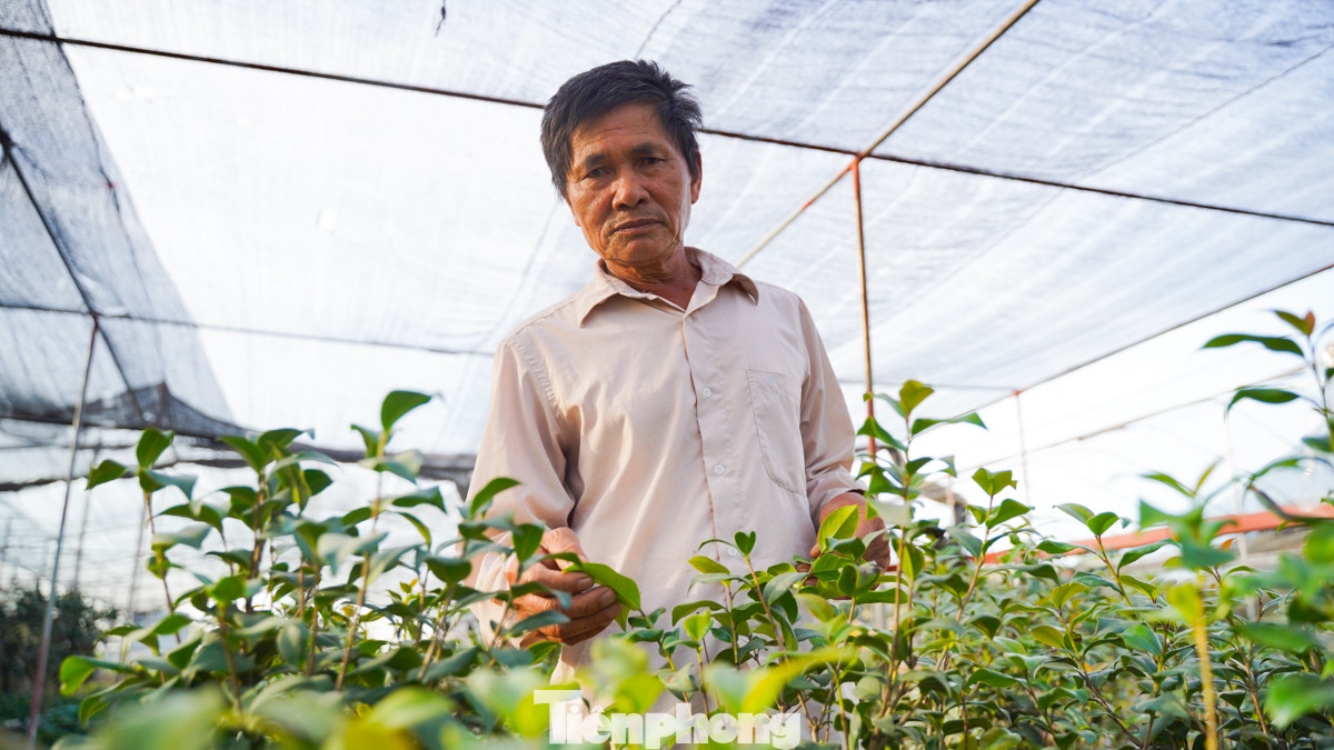 Ông Trần Văn Đạo (Văn Giang, Hưng Yên) chia sẻ, khi nước lũ dâng cao, toàn bộ vườn nhà ông bị ngập, thiệt hại nặng nề. Suốt một tháng qua, ông phải đi nhiều nơi tìm mua giống cây như trà, đồng tiền, hoa cúc... để kịp trồng bán dịp Tết 2025. Ông Trần Văn Đạo (Văn Giang, Hưng Yên) chia sẻ, khi nước lũ dâng cao, toàn bộ vườn nhà ông bị ngập, thiệt hại nặng nề. Suốt một tháng qua, ông phải đi nhiều nơi tìm mua giống cây như trà, đồng tiền, hoa cúc... để kịp trồng bán dịp Tết 2025.