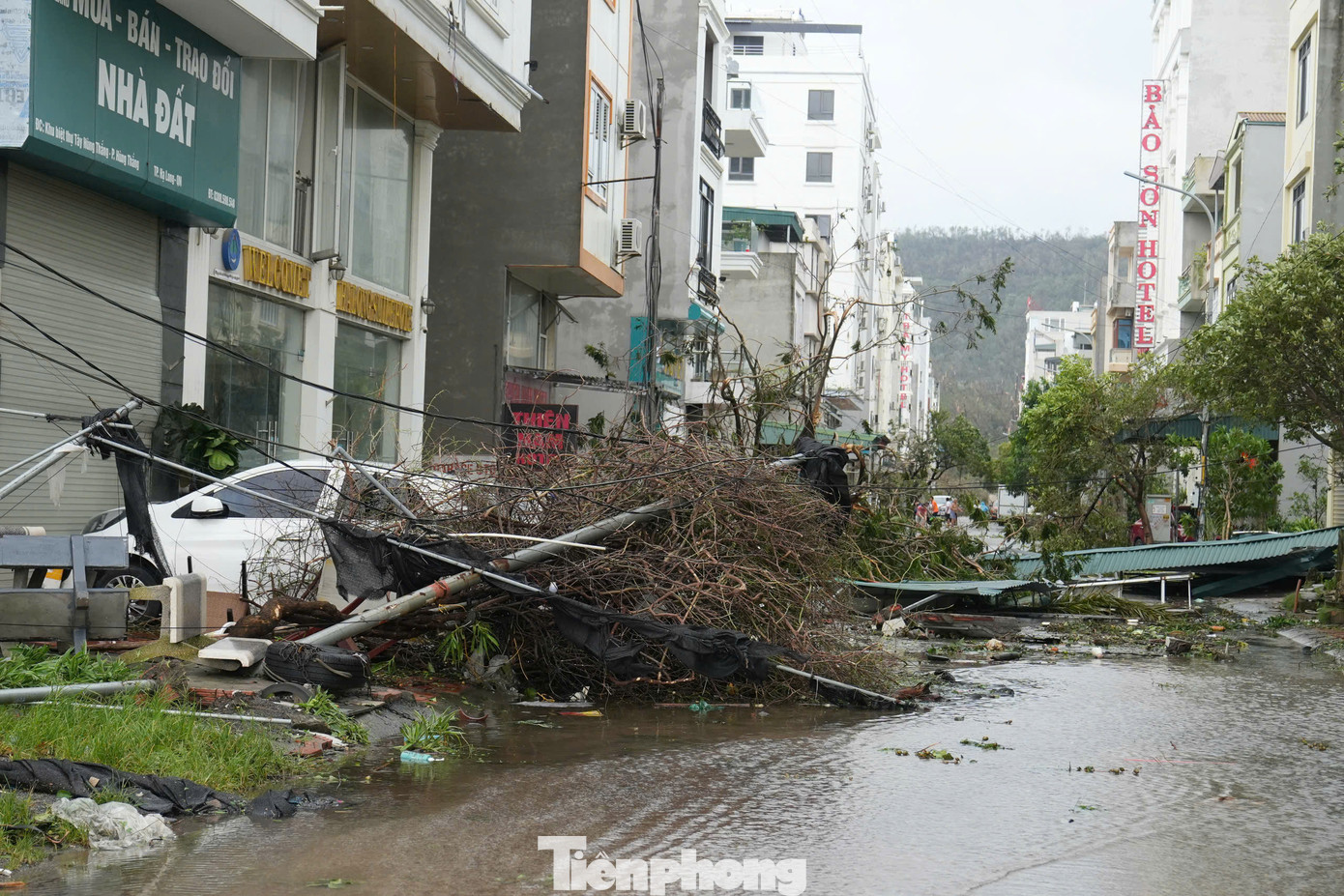 Cây xanh bật gốc, cột điện đổ chắn ngang đường, khiến giao thông tê liệt ở nhiều tuyến phố.