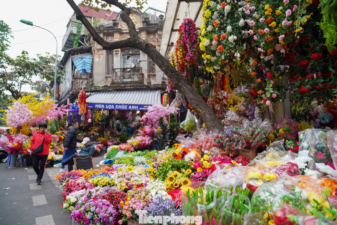 Không chỉ ở phố Hàng Lược, chợ hoa Tết truyền thống còn lan tỏa sang các phố Hàng Khoai, Hàng Rươi và Hàng Mã, tạo nên một không gian rộng lớn với đa dạng các mặt hàng phục vụ nhu cầu mua sắm của người dân.