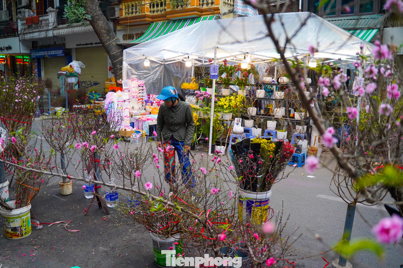 Còn hơn 1 tuần nữa là đến Tết Nguyên đán Ất Tỵ, nhưng thời điểm này nhu cầu kinh doanh, mua sắm của người dân đã tăng cao.