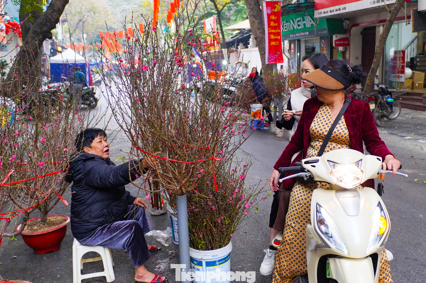 Đào cành Nhật Tân bán tại chợ Hàng Lược ngày 18 tháng Chạp có giá từ 200 - 300 nghìn đồng/cành.