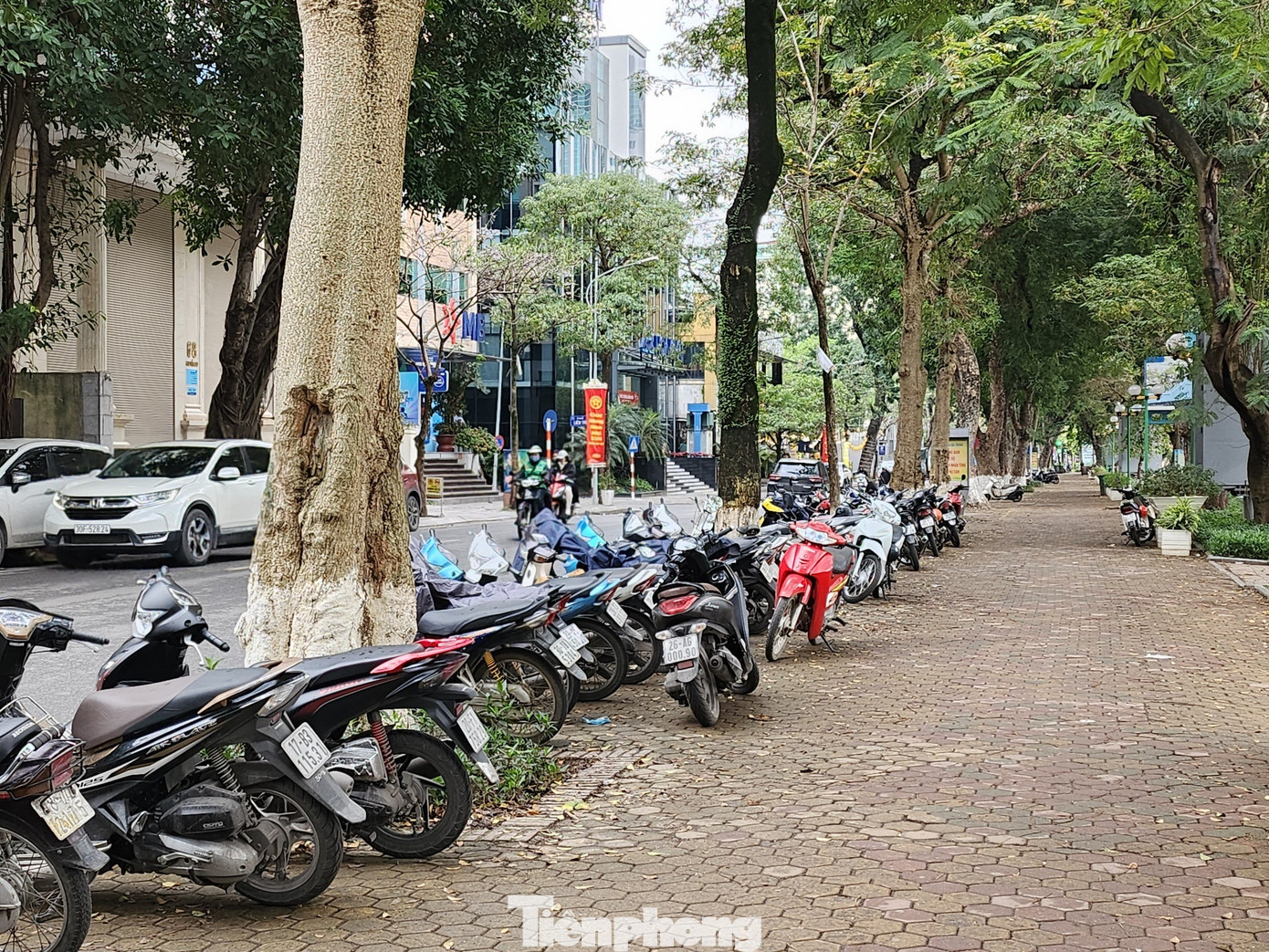 Dọc tuyến phố Trần Nhân Tông có các điểm trông giữ ô tô, xe máy ngày đêm tạo thuận lợi cho người dân muốn di chuyển tới đây đi bộ.