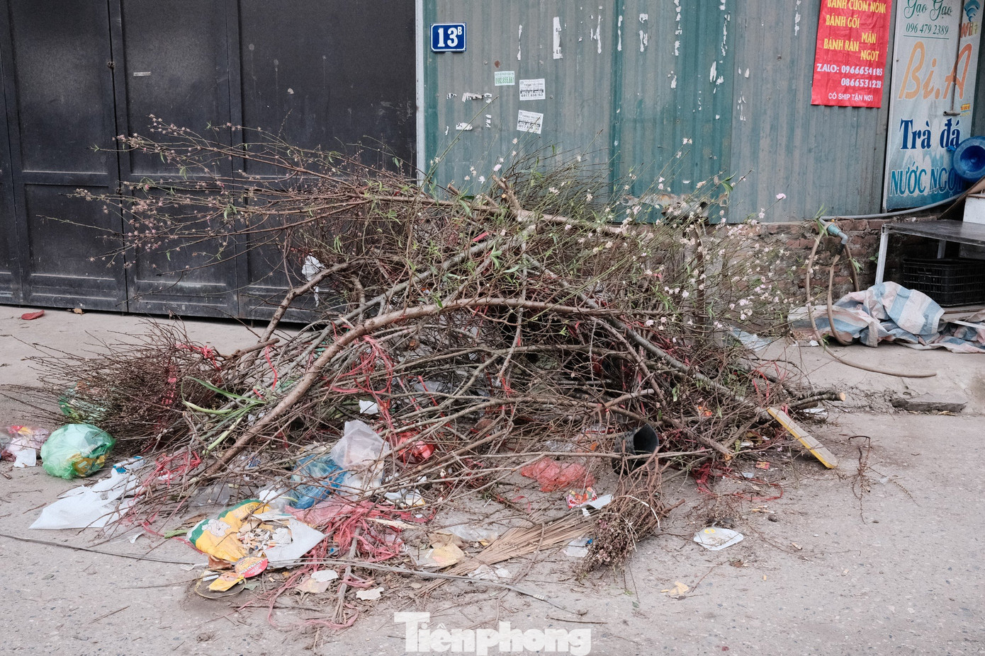 Tiểu thương không đủ sức để bán lại sau Tết, nhiều cành đào lỗ nằm chỏng chơ ngoài bãi rác.