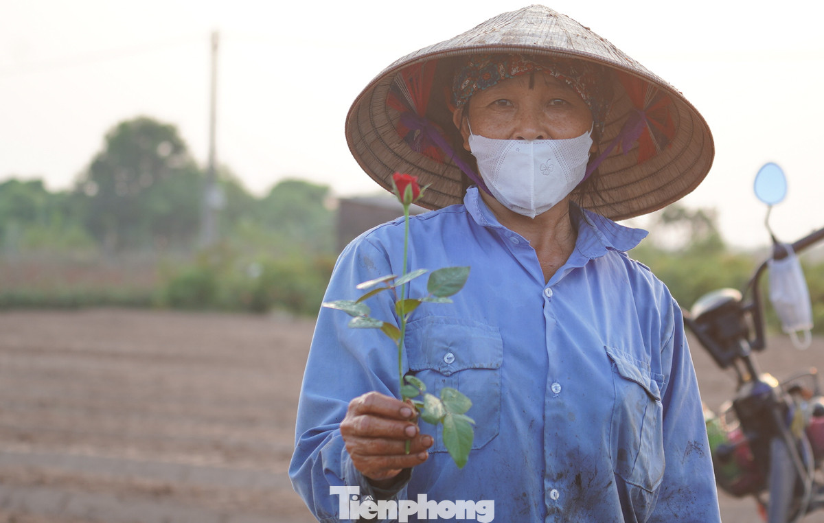 "Hoa năm nay rất nhỏ do ngập nước quá lâu nên không phát triển, khó mà bán được. Lứa hoa mới trồng, nếu may mắn không gặp bão hay thiên tai, thì có lẽ sẽ kịp bán vào dịp Tết 2025, chứ không kịp bán cho 20/10 và 20/11", cô Tuyền nói thêm.