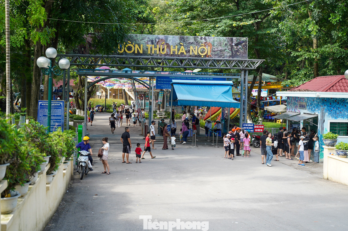Nhân ngày Ngày Quốc tế thiếu nhi, vườn Bách thú Hà Nội (phường Ngọc Khánh, quận Ba Đình, Hà Nội) đón lượng khách đông hơn những ngày bình thường, chủ yếu các đoàn học sinh từ nhiều nơi đổ về tham quan, vui chơi.