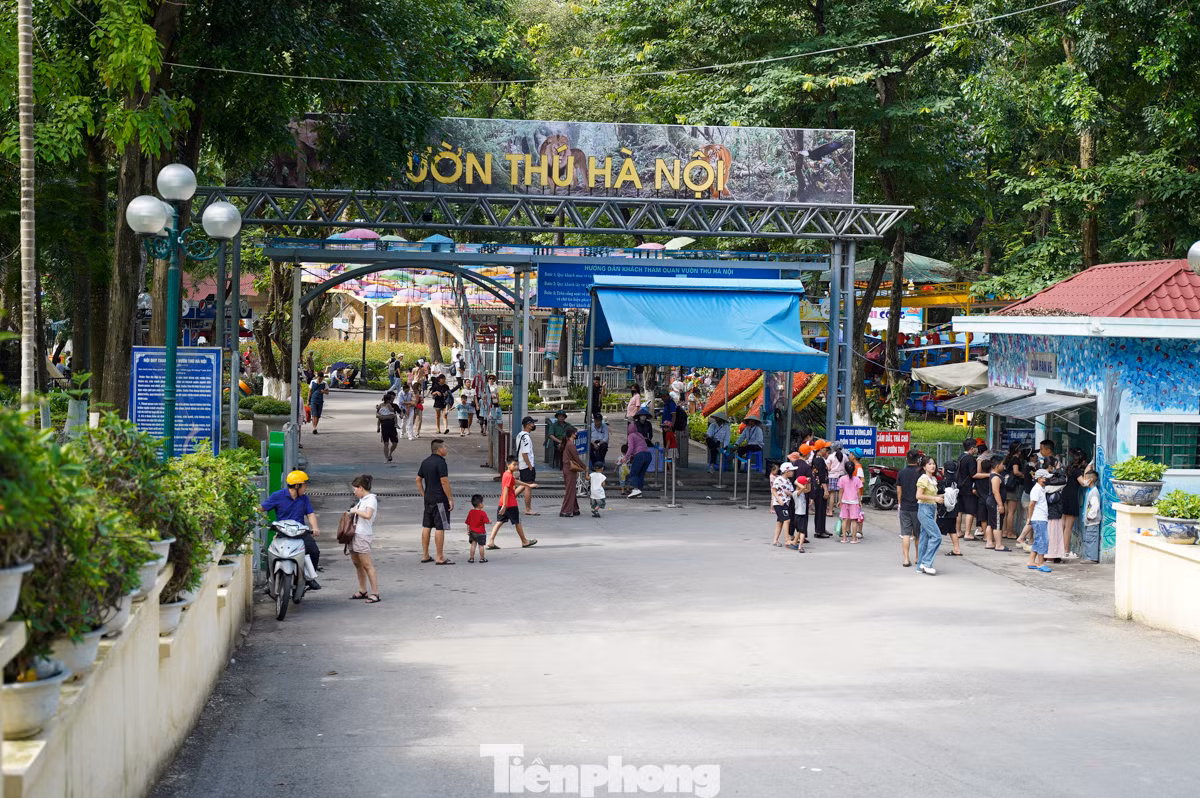 Nhân ngày Ngày Quốc tế thiếu nhi, vườn Bách thú Hà Nội (phường Ngọc Khánh, quận Ba Đình, Hà Nội) đón lượng khách đông hơn những ngày bình thường, chủ yếu các đoàn học sinh từ nhiều nơi đổ về tham quan, vui chơi.