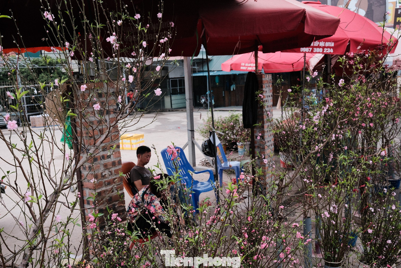 Bán xả lỗ như vậy nhưng không khí vẫn đìu hiu, ế ẩm ít người mua.