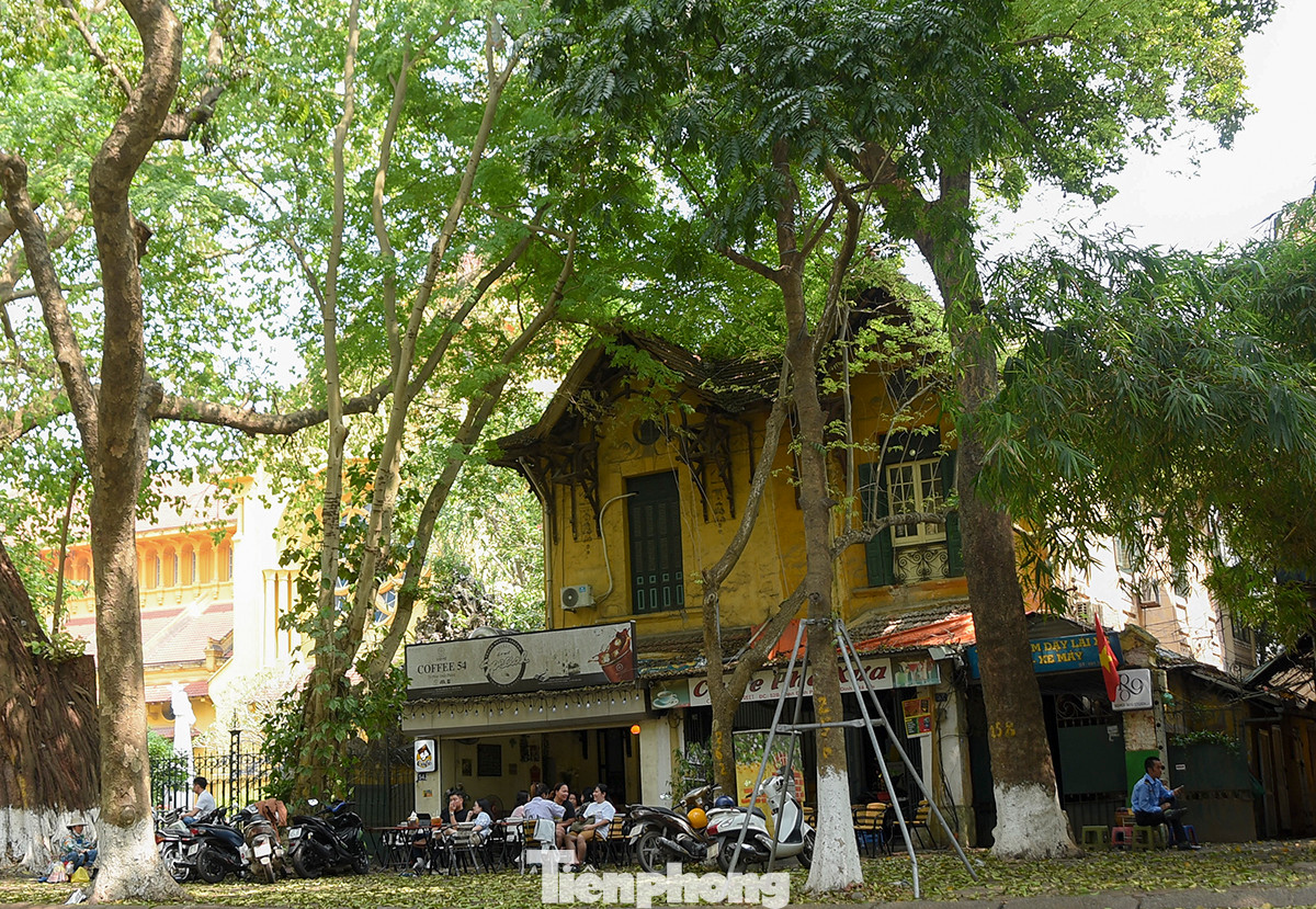 Người dân thảnh thơi trong quán cà phê có bóng mát tại phố Phan Đình Phùng.