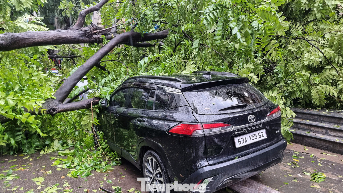 Báo cáo nhanh tính đến 19h ngày 7/9, trên địa bàn Thành phố có tổng 06 xe máy và 13 ô tô bị hư hỏng do bão.