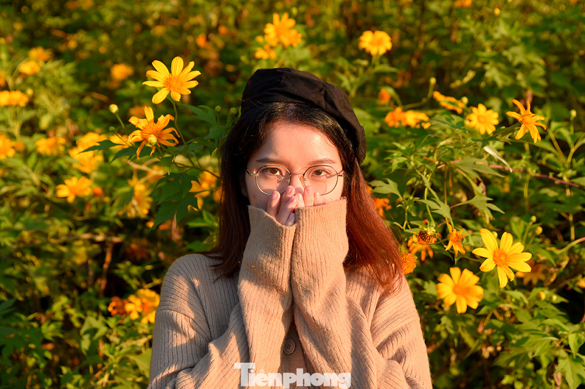 Hải Anh (SN 2003, quê Hà Nam) chia sẻ: "Năm nay là năm đầu tiên mình lên Ba Vì để săn hoa dã quỳ, mình rất thích không khí mát mẻ và trong lành của nơi đây. Mình xem các video của hoa dã quỳ trên mạng xã hội tối qua và quyết định đến luôn vào sáng nay".