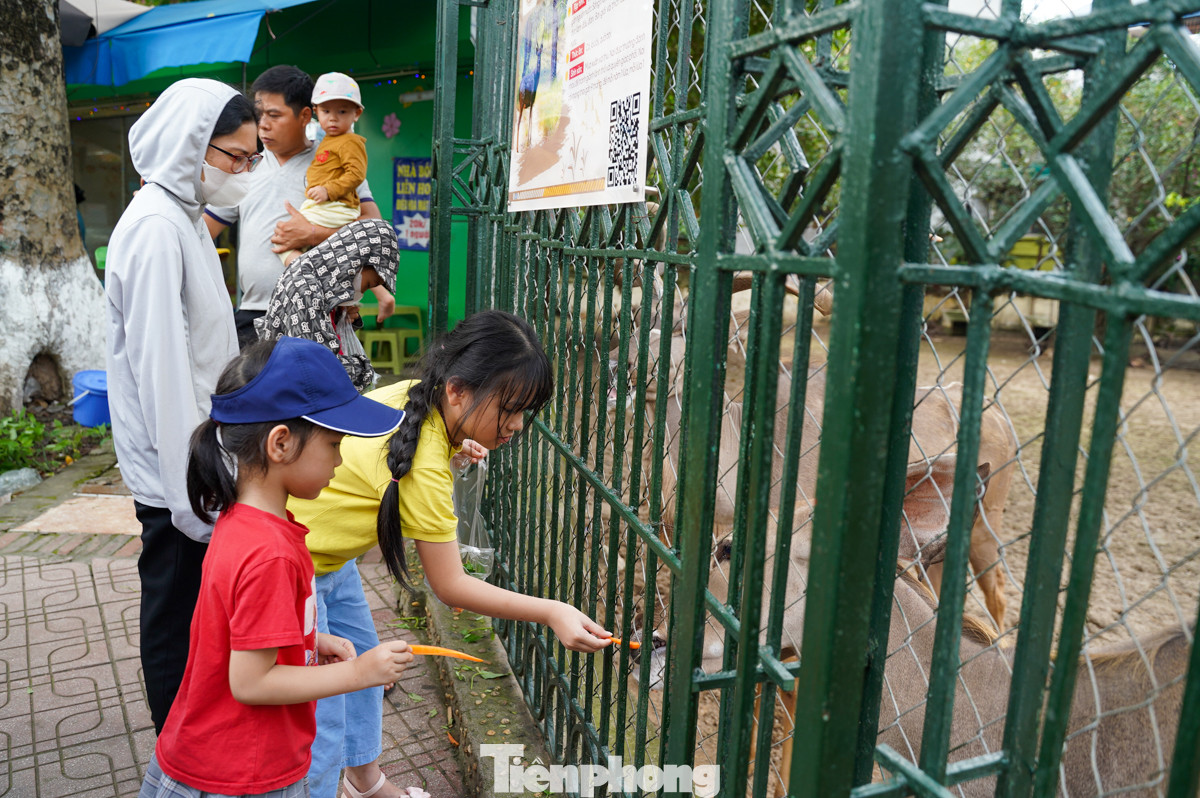 Các bạn nhỏ thích thú khi được tham quan trong công viên, cho động vật ăn...