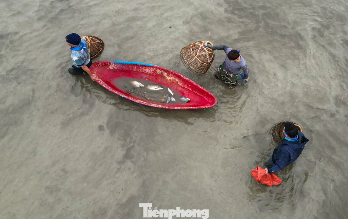 Người dân hăng say thể hiện kỹ năng bắt cá với những cú chộp nơm điêu luyện.