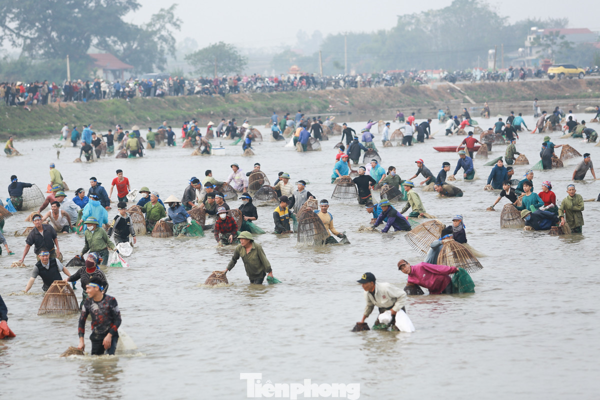 Đến 7 giờ 30, sau tiếng hô bắt đầu của BTC, hàng trăm người xuống nước, reo hò vui vẻ bắt cá.
