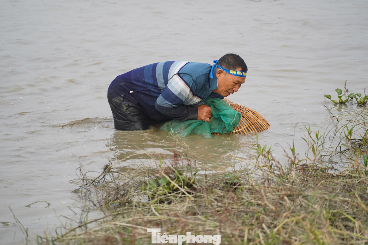 Người dân hăng say thể hiện kỹ năng bắt cá với những cú chộp nơm điêu luyện.