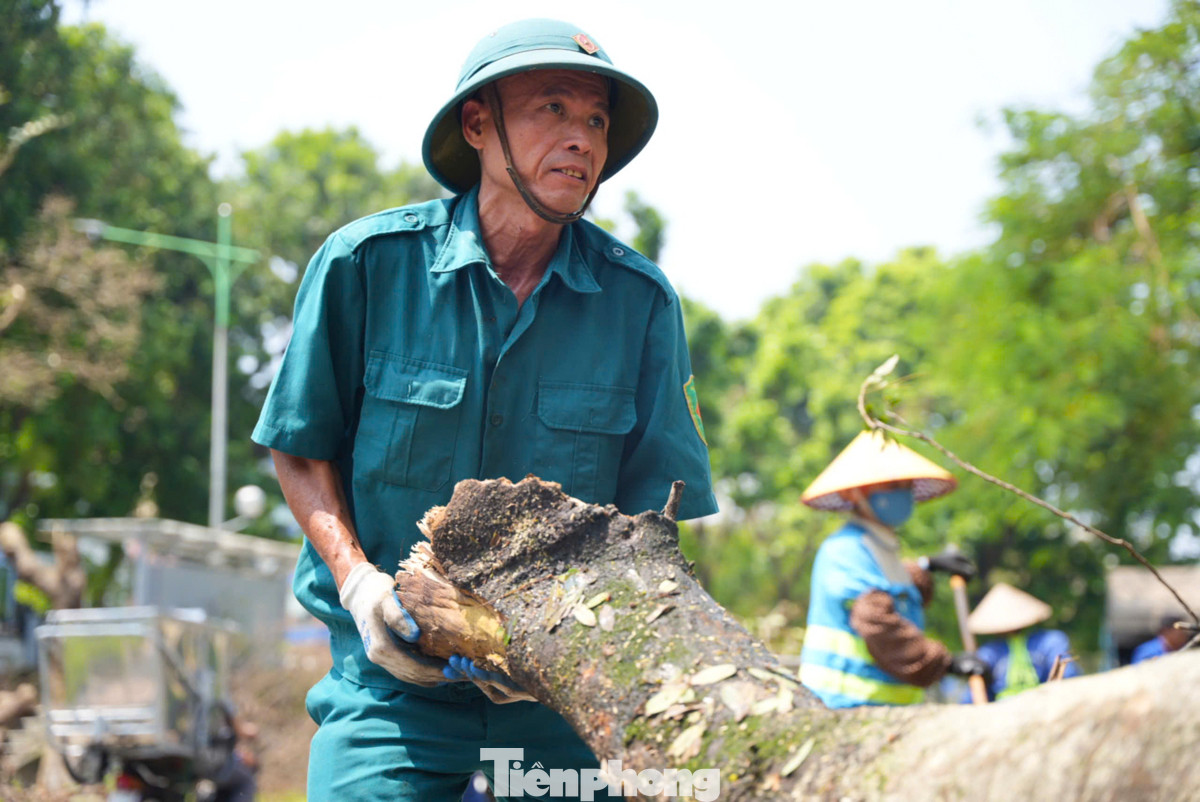 Dân quân tự vệ và công nhân vệ sinh cùng nhau chung tay, góp sức khẩn trương dọn dẹp những cây xanh bị đổ.